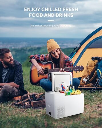 Холодильник PHILIPS TB5301G 12-вольтовий, 25-літровий автомобільний холодильник, автомобільний електричний холодильник 12/24 В пос