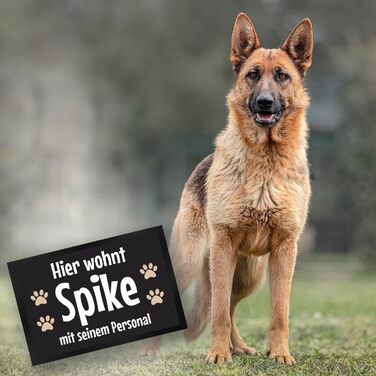 Тут живе собака зі своїм персональним килимком для дверей персоналізованим з іменем собаки для власників собак, прикраса для коридору, щоб висловити любов до вашого чотириногого друга, домашнього улюбленця, власника собаки, собаки, дня народження собаки