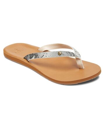 41 EU White Snake, 41 EU White Snake