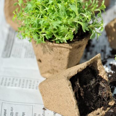 Біорозкладні горщики для розсади, квадратні горщики для рослин, целюлоза, висота 5 см, бежевий 10, 2040 x