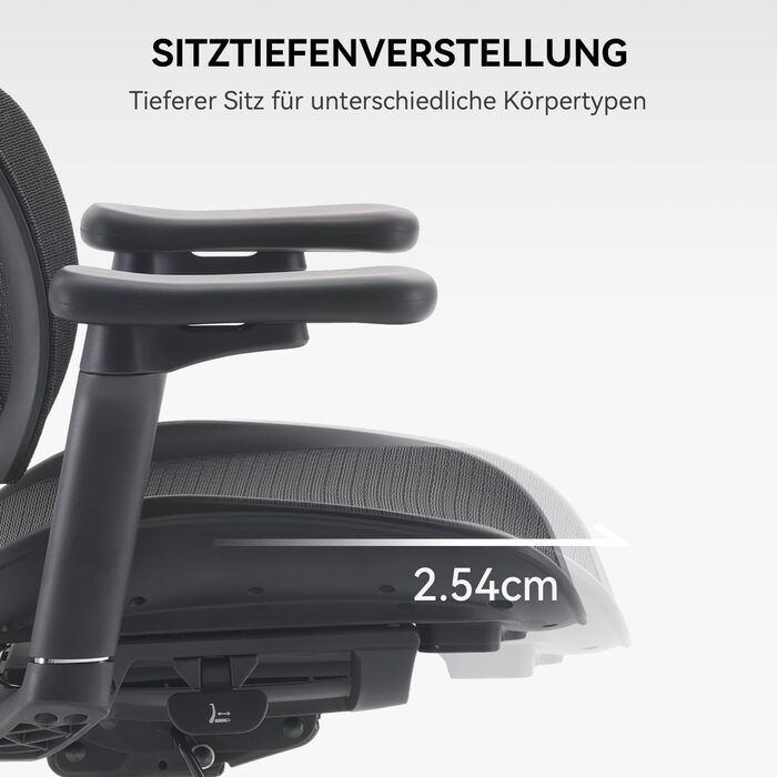 Ергономічне офісне крісло SIHOO з подвійною динамічною поперековою опорою, робоче крісло з 5-позиційною регульованою спинкою, офісне крісло з 4D-координованими підлокітниками (S100 Black) Чорний сучасний