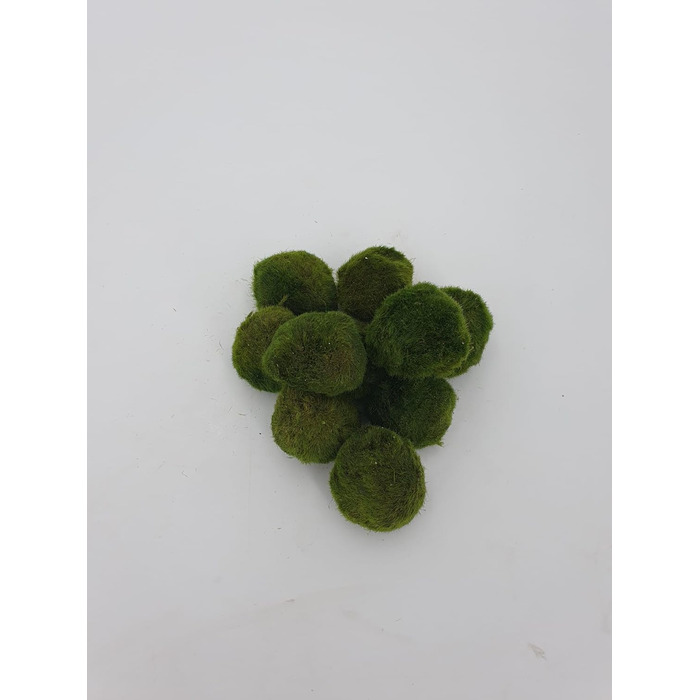 Великі кульки з моху 3 шт. и приблизно 6-7 см 1 нано кулька з моху 1-2 см