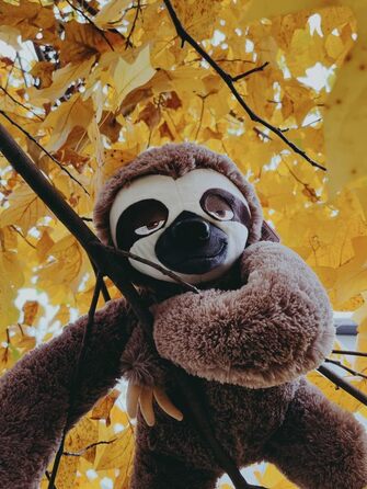 М'яка іграшка FANCY Sloth XXL плюшевий лінивець, 57 см