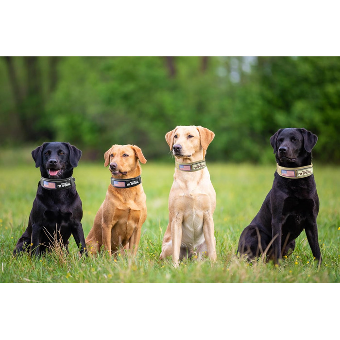 Тактичний нашийник для собак, міцний, світловідбиваючий нашийник з ручкою, широкий нашийник для середніх та великих порід, ширина 6,6 см, військовий нашийник з регульованим обхватом шиї 44-64 см, чорний