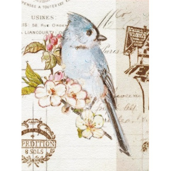 Фотоальбом UFO 20sheet S22x32 Bird (6979071)
