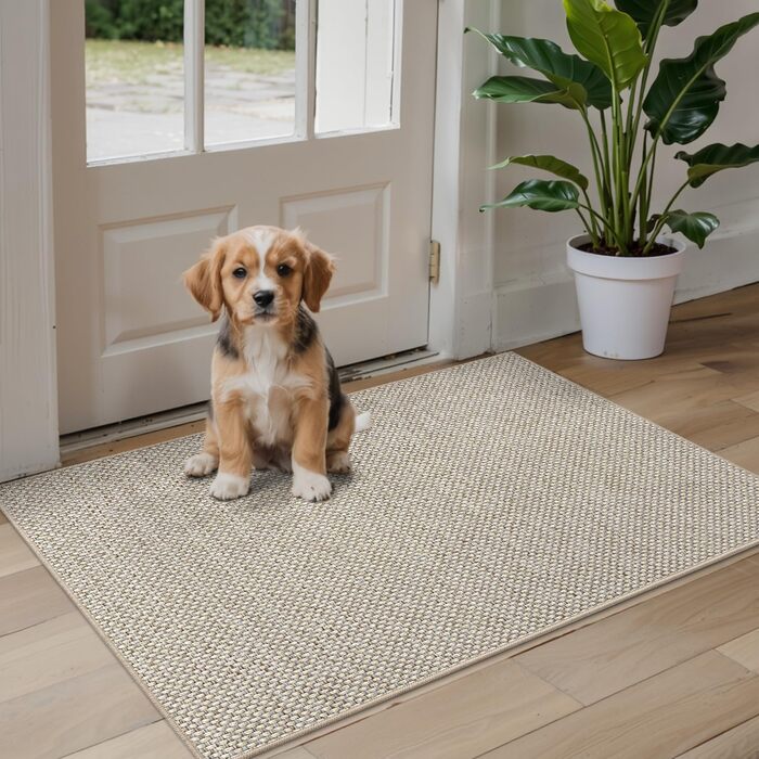 Килимок для внутрішніх дверей DEXI, що вловлює бруд, 60 x 90 см, нековзний килимок для миття, абсорбуючий килимок, тонкий вхідний килимок для вхідних дверей та коридору, бежевий 60 x 90 см