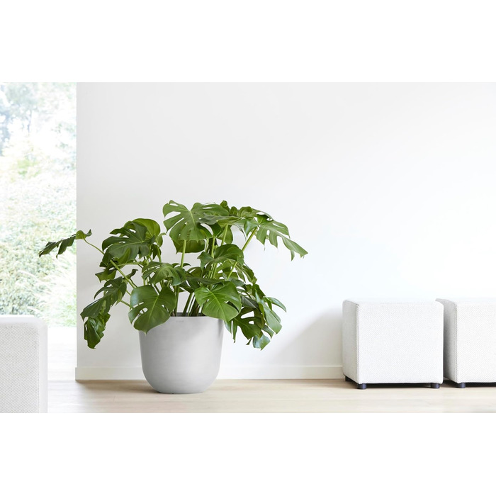 Горщик для рослин Ashortwalk Oslo Bell з переробленого пластику (Ø 25 см x В 21,8 см) (біло-сірий) Вуличні квіткові горщики Всепогодні квіткові горщики (Біло-сірий, 46,6 x 45 x 39,2 см) 45 см Біло-сірий