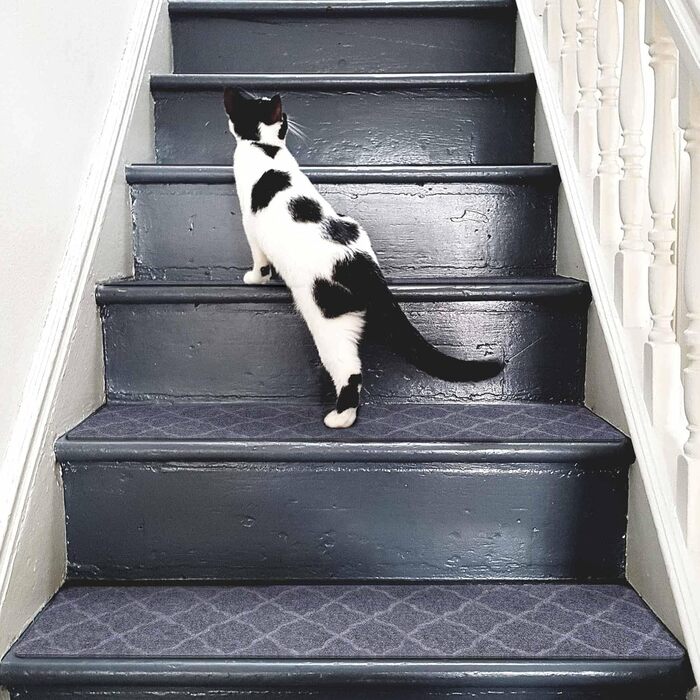 Нековзні сходинки для дерев&39яних сходинок, 20 x 76 см, нековзні сходинки для використання всередині приміщень, килимові сходинки із самоклеючою основою, знімні та придатні для прання в пральній машині, світло-сірий візерунок 7