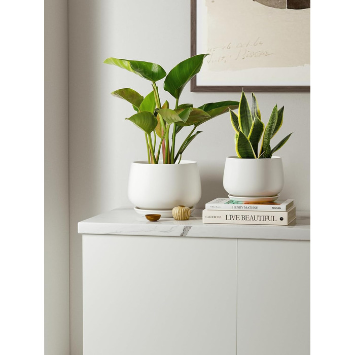 Керамічні квіткові горщики LE TAUCI з блюдцями, набір маленьких квіткових горщиків діаметром 101316 см, набір з 3 горщиків для кімнатних рослин, горщики з дренажним отвором, білі