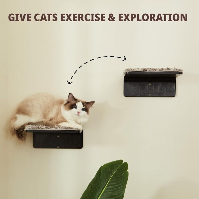 Комплект із 2 настінних сходинок для котів - Дерев&39яна полиця для лазіння для котів на стіну - Настінні сходинки для котів з килимком для когтеточок - Настінні котячі меблі для стрибків, гри та відпочинку, Сходинки з горіха - Горіх