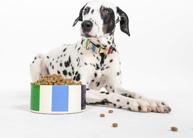 Ошийник для собак Kate Spade New York Adventure Stripe Large, золотиста металева пряжка, регульований розмір 39,4 - 61 см, підходить для собак середнього розміру (унісекс), стильний дизайн.