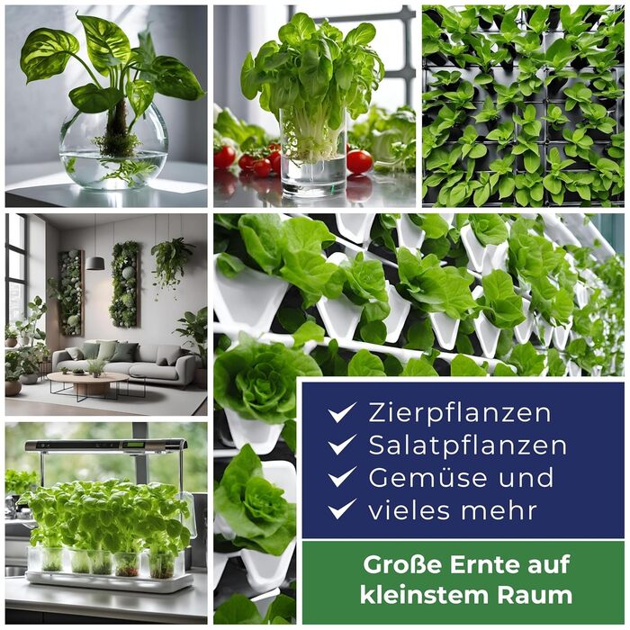 Гідропоніка та гідрокультура добриво XL пляшка 1л NPK 7-3-6 рідке добриво для кімнатних рослин, фруктів та овочів у живильному розчині здоровий ріст і багатий урожай