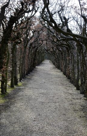 Шкіряна кобура OKATSUNE 133 велика Кобура для пояса з міцної шкіри Підходить для садових ножиць/секаторів Okatsune 103 та 104 235 мм, 65 г Світло-коричнева кобура 133 для 103104