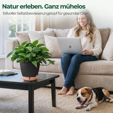 Набір з 2 предметів T4U, самополивний квітковий горщик 20 см з глибоким резервуаром для води, для зелених рослин, великий квітковий горщик для приміщень та вулиці, також підходить як велике кашпо для вулиці, чорний, 20 см