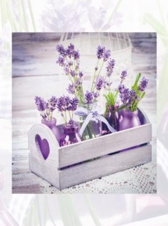 Фотоальбом EVG 20sheet S29x32 LAVENDER  (6882828)