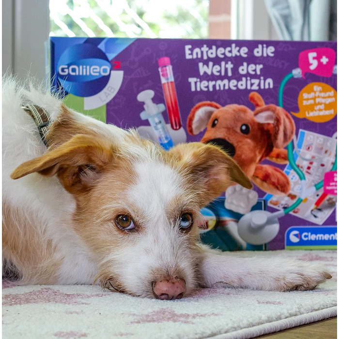 Навчальний набір Galileo Lab Clementoni, світ ветеринарної медицини