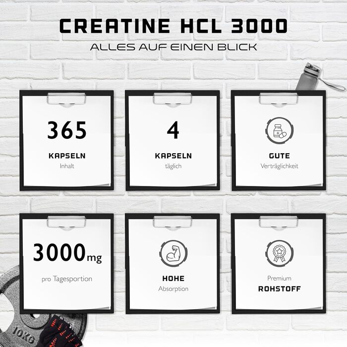 Креатин Гідрохлорид (HCl) – 365 капсул