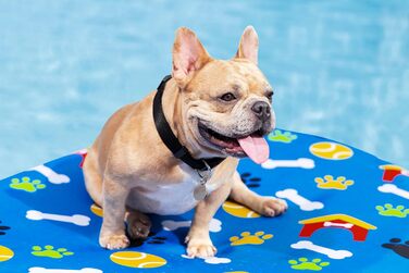 Надувний матрац для домашніх тварин Bestway Paw Print, 142 x 95 x 17 см, вантажопідйомність 45 кг, міцний ПВХ, знімний тканинний чохол, запобіжний клапан, латка для ремонту в комплекті