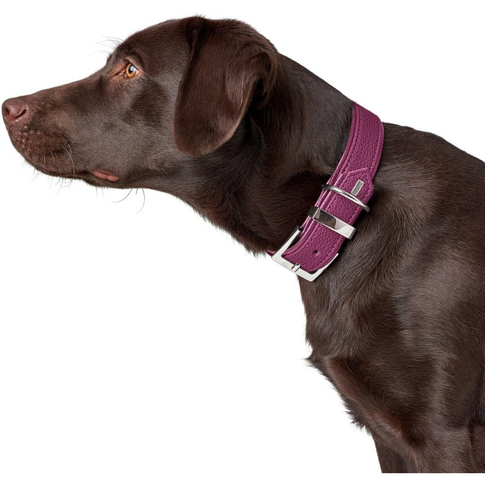 Ошийник для собак HUNTER Sofia, колір малиновий, штучна шкіра з виглядом бичачої шкіри, простий у догляді, яскравий колір, м'яко підбитий, стійкий до розривів, виготовлений у Німеччині, розмір 45 см