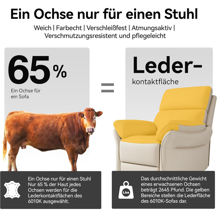 Крісло для відпочинку AIRSKY, крісло для телевізора зі справжньої шкіри з функцією відкидання, крісло для кінотеатру, крісло для сну, крісло для літніх людей, крісло для телевізора з функцією сну, крісло з ручним регулюванням для вітальні та спальні, беже