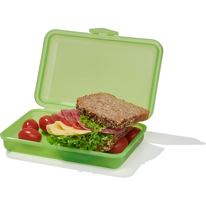 Контейнер для обіду Buchsteiner Klickbox FLAT з роздільником Ланчбокс Коробка для зберігання Герметична коробка Можна мити в посудомийній машині (7665l)