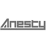 Anesty