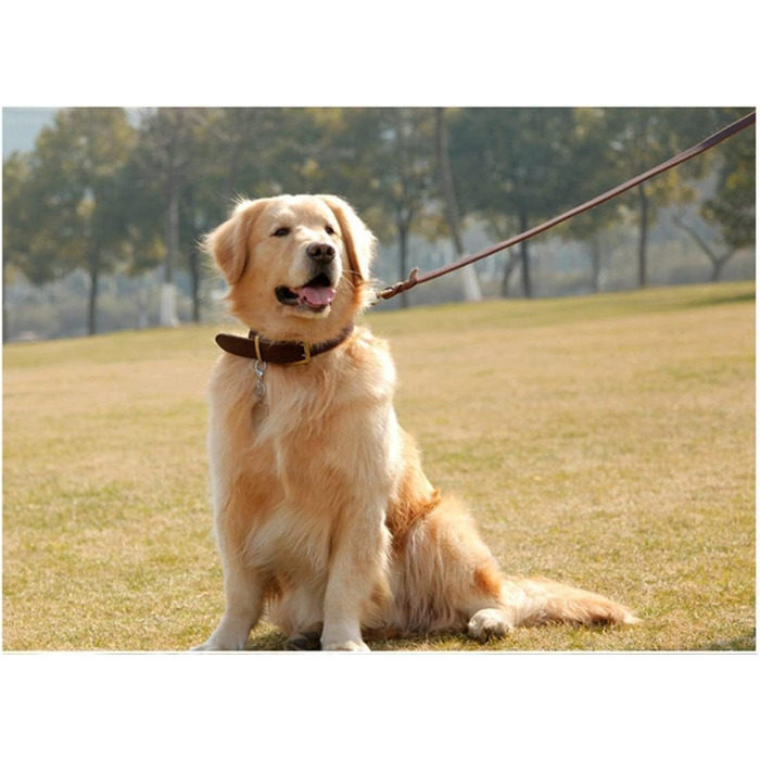 Комплект повідця та нашийника Зоряний Провідник, 1.8 м, м'яка плетенка зі шкіри, з регульованим нашийником для собак малих, середніх та великих порід (розмір М)