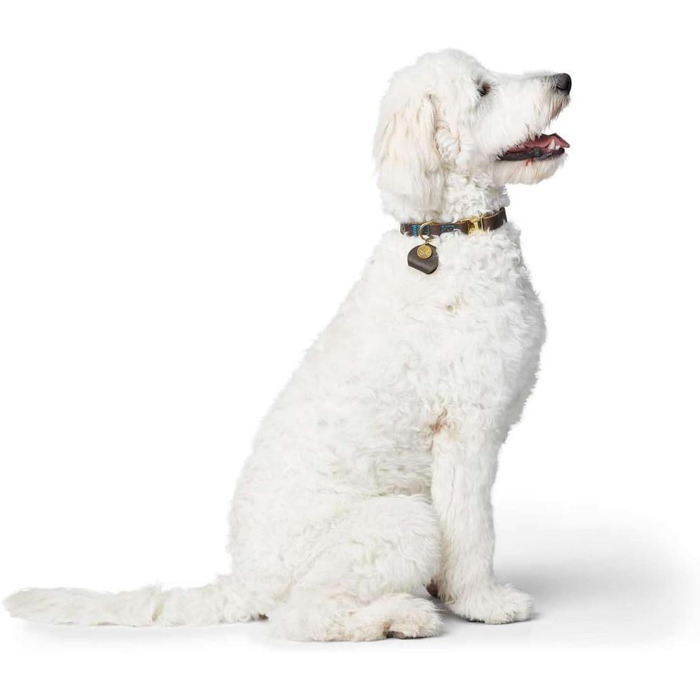 Ошийник для собак HUNTER Sansibar, колір темно-коричневий, високоякісна яловича шкіра, морські деталі, сині декоративні шви, латунні металеві елементи, регульований розмір, стильний та міцний, виготовлено в Німеччині, розмір M темно-коричневий M