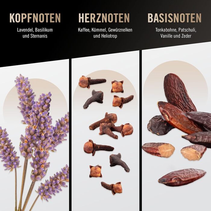 Парфумована вода Bruno Banani Man (30 мл)