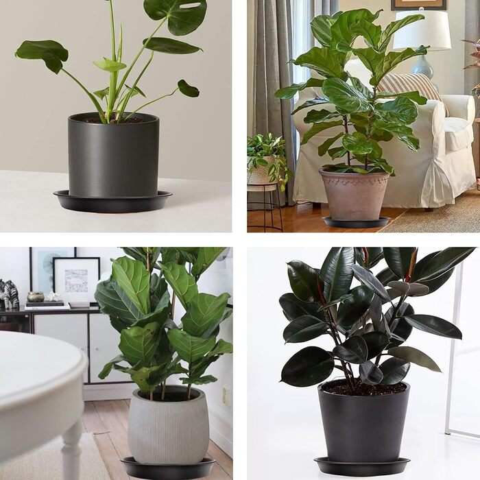 Набір із 5 пластикових блюдець для квіткових горщиків, для кімнатних та вуличних рослин - 36 см x 36 см, чорні