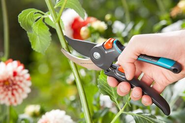 Садові ножиці Gardena B/M Ножиці для дерев, безпечні для рослин, з обхідним лезом для гілок та сучків, максимальний діаметр різання 24 мм, вбудована пружина в ручці, верхнє лезо з антипригарним покриттям (8904-20) Діаметр різання 24 мм (M) Обхідне лезо