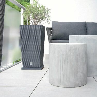 Каструля-таймер на 26,6 л зі вставкою 26,5 x 26,5 x 50 см, антрацитового кольору, чорна одинарна