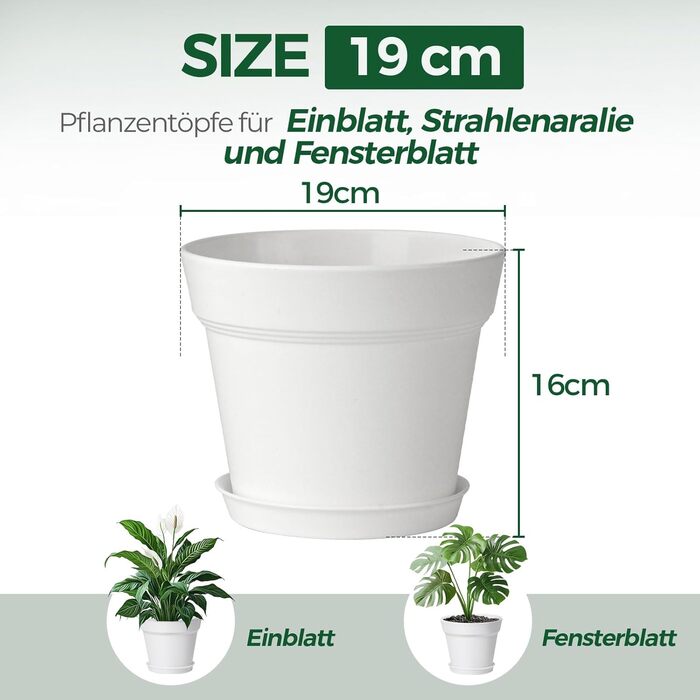 Пластиковий квітковий горщик 19 см з блюдцем, набір із 6 пластикових горщиків для трав з кількома дренажними отворами, круглий горщик для сукулентів у приміщенні та на балконі, білий/розкішний сад 19 см, 4U