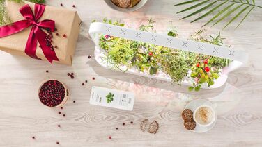 Кімнатний сад Click and Grow, простіше, ніж гідропонна система вирощування, Розумний сад зі світлодіодним підсвічуванням, трав&39яний сад, крита теплиця з 9 рослинними коробочками в комплекті (білий)