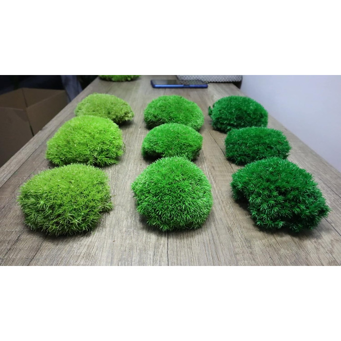 Збережений мох на вагу - Прикраса з моху для вас - Кульковий мох, збережений для вашого дому - Створіть картину з моху - підходить як моховий тераріум і ліси у склі (200 г темно-зеленого)