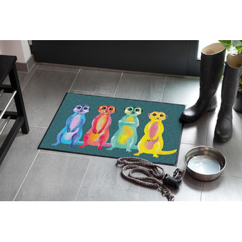 Килимок Salonloewe 050x075 см Килимок із райдужними сурикатами, для використання всередині/зовнішнього використання, брудозбірний килимок, килимок, що не пропускає повітря