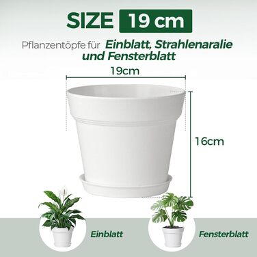 Пластиковий квітковий горщик 19 см з блюдцем, набір із 6 пластикових горщиків для трав з кількома дренажними отворами, круглий горщик для сукулентів у приміщенні та на балконі, білий/розкішний сад 19 см, 4U