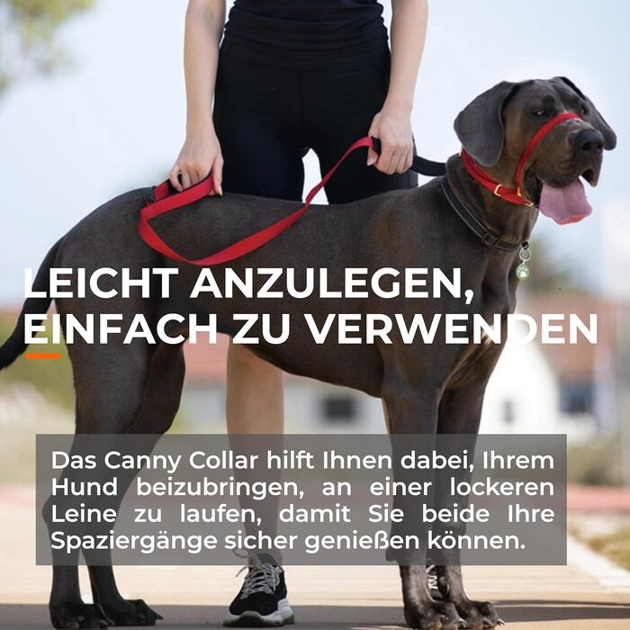 Антитягнучий нашийник-шлейка для собак Мяко та ефективно зупиняє тягу на повідку Допоміжний засіб для спокійних прогулянок Розмір 6, Ліловий. Обхват шиї 48-53 см Розмір 6