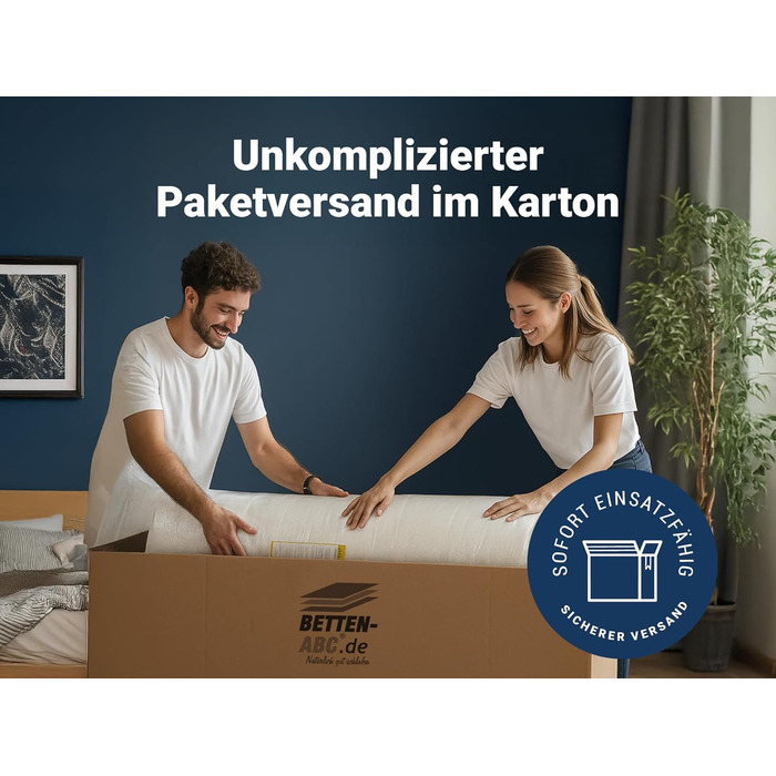 Матрац ABC Comfort Foam Mattress Basic-Line, висота ядра приблизно 10 см, чохол з алое вера, виготовлений за німецькими стандартами якості (розмір 90 x 190 см)