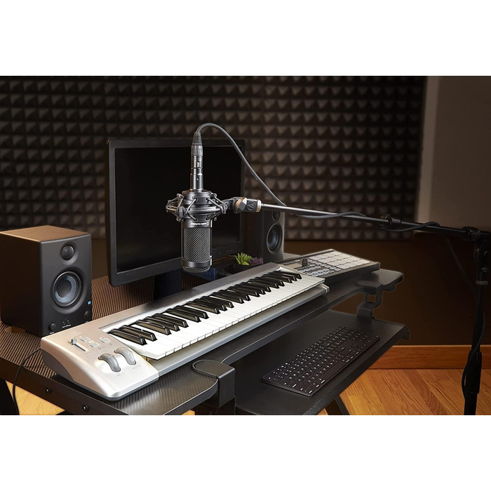 Конденсаторний мікрофон Audio-Technica AT2035 з кардіоїдною спрямованістю, чорний