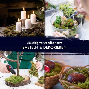 Мохові пластини GJS пластинчастий мох 100г/200г/500г справжні збережені, міцні килимки з моху для крафта, декоративний мох/плоский мох (пластинчатий мох, 100)