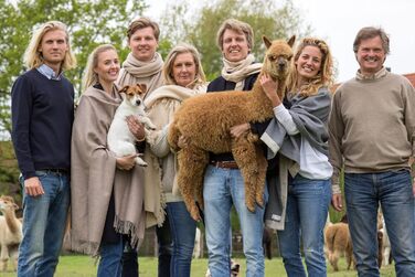 Подушка Basic Line Alpaca, простьобана терморегулюючою вовною альпаки та наповнена еластичними кульками з волокна, для спокійного сну, 40x80 см, середньої жорсткості та відносно висока