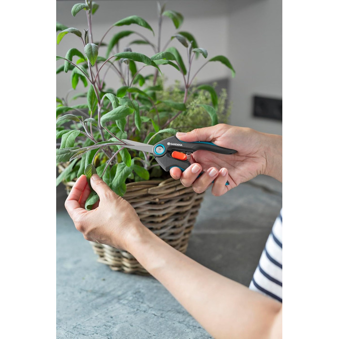 Секатор для точного збору трав, ягід та квітів з нержавіючої сталі, лезо 47 мм, ергономічна ручка, з захисним ковпачком (12212-20). Універсальний, 15.91 см x 1.95 см, ширина захвату 47 мм