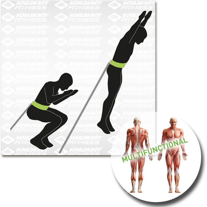 Набір пояса та еспандера, в картонній коробці 4 кольорів, 960073