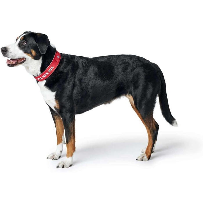 Гідрокостюм неопреновий з відбиваючими елементами FC Bayern, Розмір L-XL (65), Червоний L-XL (65)