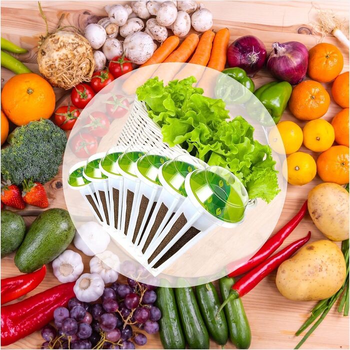 Губки для росту Rigute, 12, набір систем для гідропонного вирощування, включаючи 30 шт. Гідропонного кошика для посадки, 30 шт. Гідропонних ізольованих кришок, 30 шт. Губки для рослин, 30 шт. етикеток