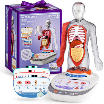 Анатомічна модель Science Can Human Body Set, інтерактивна