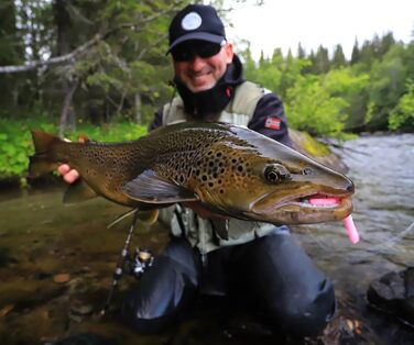 Стартовий набір Libra Lures Fatty D Worm Tournament 55 мм 20 мяких приманок для форелі 10 кольорів з ароматом криля набір гумових приманок герметичний контейнер ідеально підходить для лову форелі