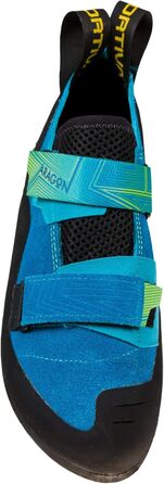 38,5 EU Neptune Citrus, 38,5 EU Neptune Citrus