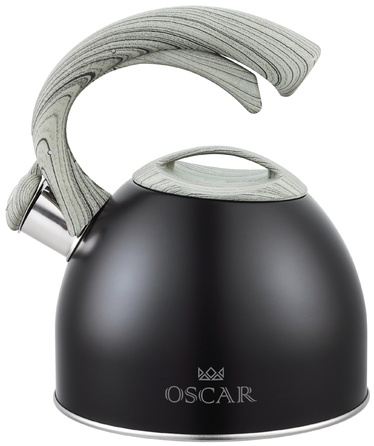 Чайник Oscar Master 2.5 л (6747399)